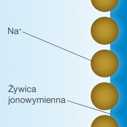 Jony sodu (Na+) są aktywne na powierzchni żywicy.